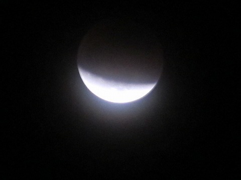 IMG_2764.jpg