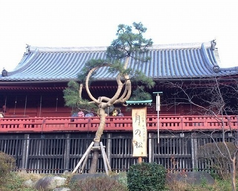 image-5e21c-thumbnail2.jpg
